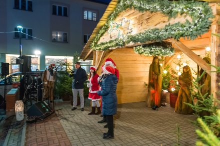 Rozświetlenie choinki na Placu Hoffa
